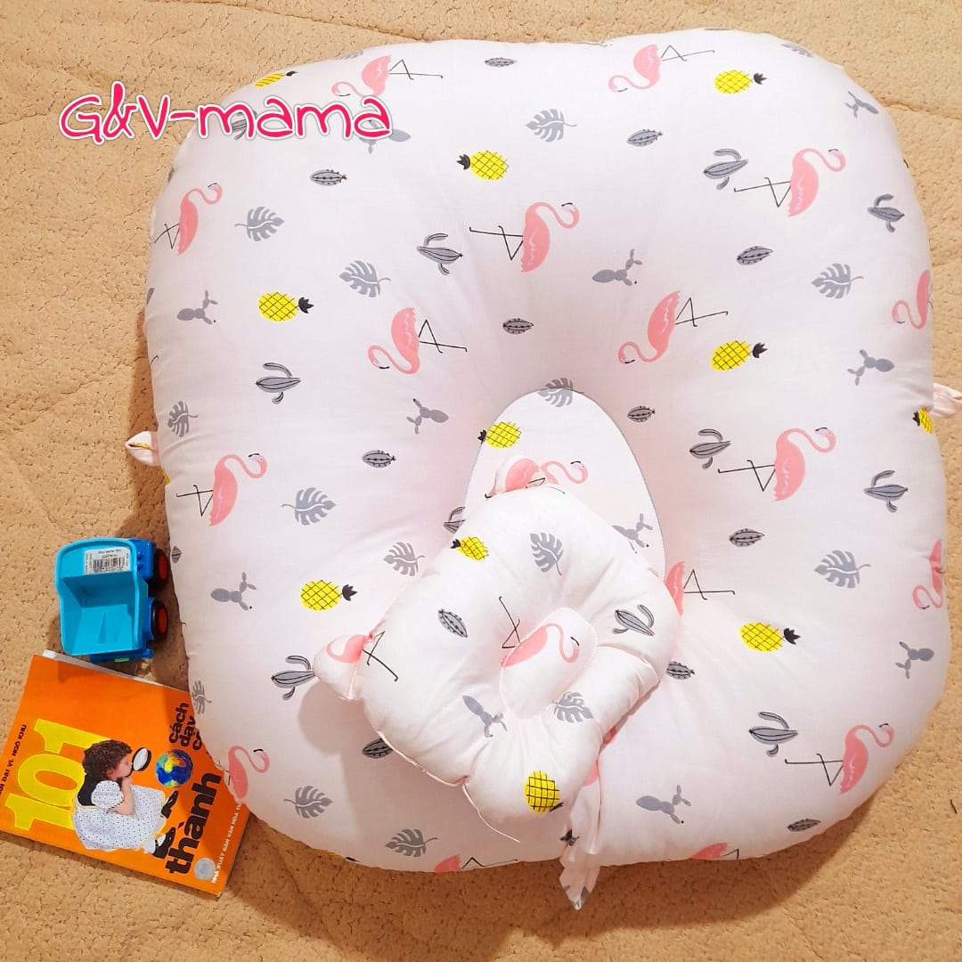 Gối chống trào ngược cao cấp